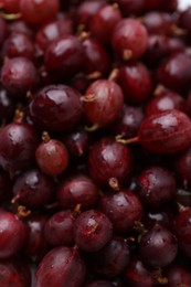 Photo of Fresh ripe red gooseberries as background, closeup