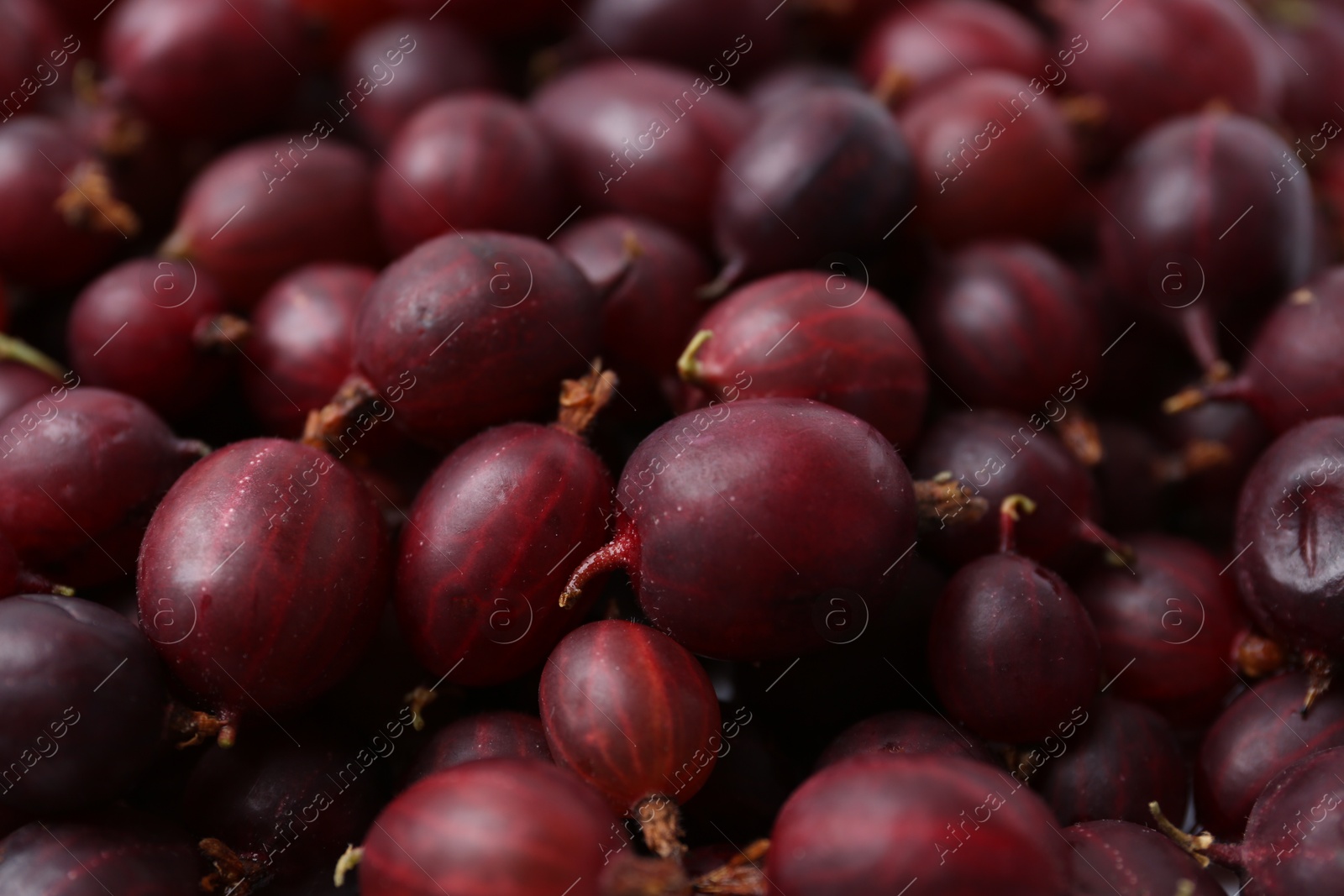 Fresh ripe red gooseberries as background, closeup Photo of Fresh ripe red gooseberries as background, closeup