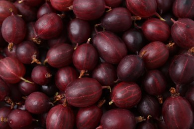 Photo of Fresh ripe red gooseberries as background, closeup