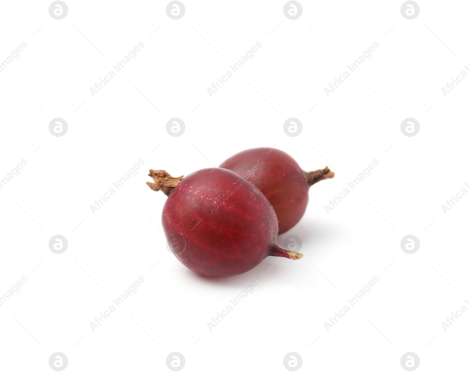 Fresh ripe red gooseberries isolated on white Photo of Fresh ripe red gooseberries isolated on white