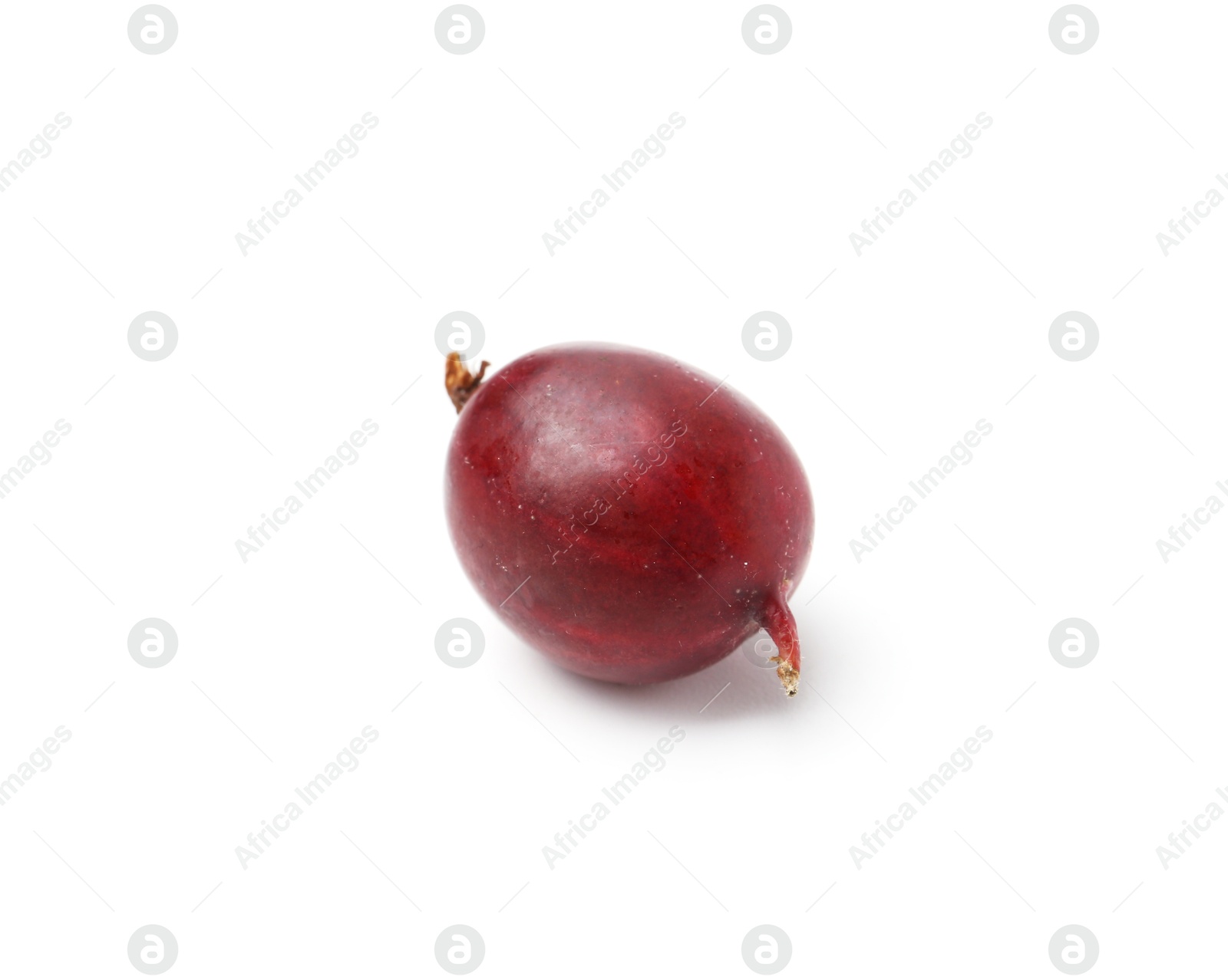 Fresh ripe red gooseberry isolated on white Photo of Fresh ripe red gooseberry isolated on white