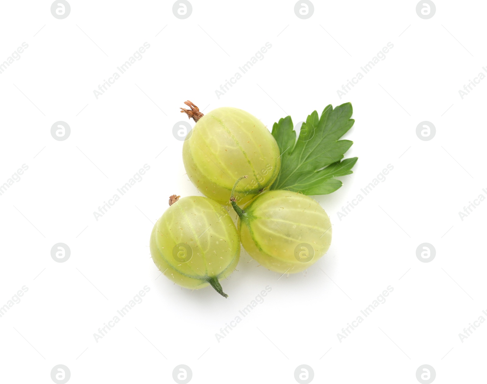 Fresh ripe green gooseberries with leaf isolated on white, top view Photo of Fresh ripe green gooseberries with leaf isolated on white, top view