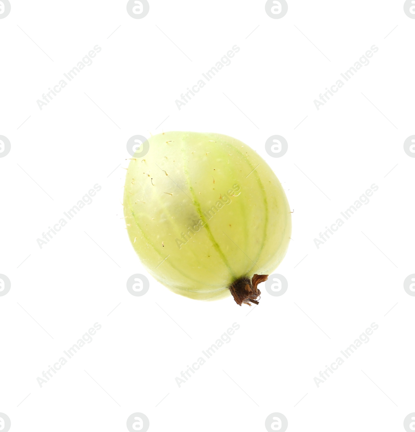 Fresh ripe green gooseberry isolated on white Photo of Fresh ripe green gooseberry isolated on white
