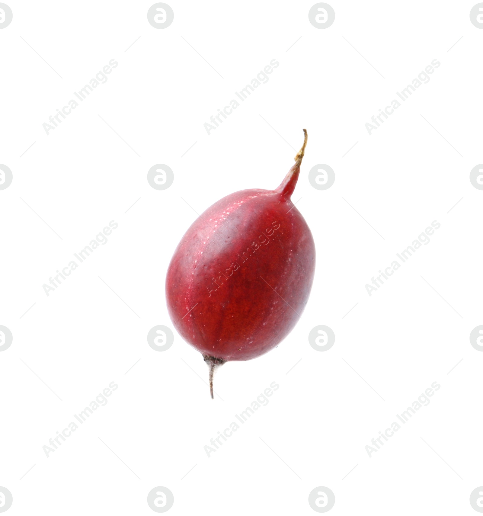 Fresh ripe red gooseberry isolated on white, top view Photo of Fresh ripe red gooseberry isolated on white, top view