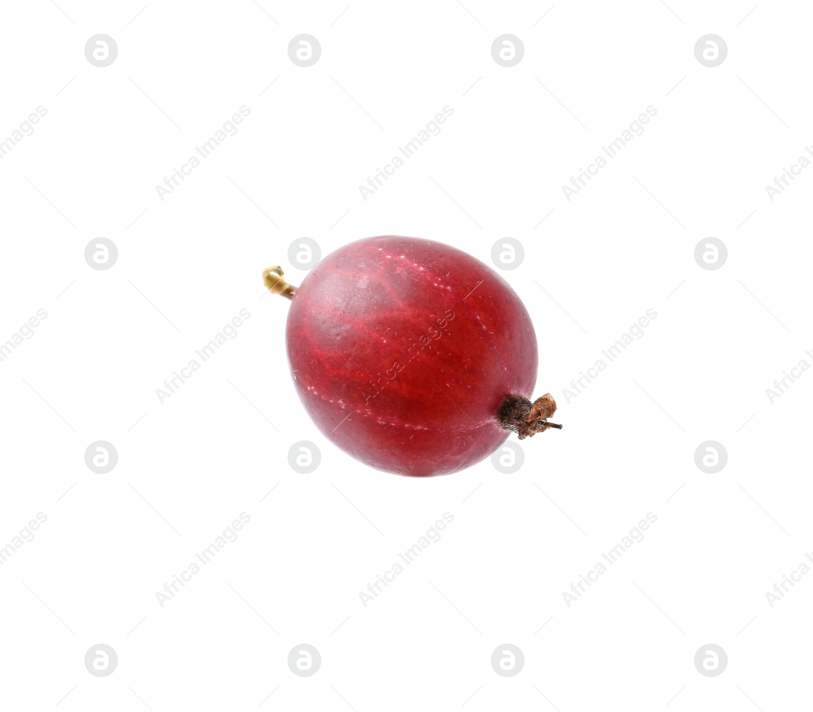 Fresh ripe red gooseberry isolated on white Photo of Fresh ripe red gooseberry isolated on white
