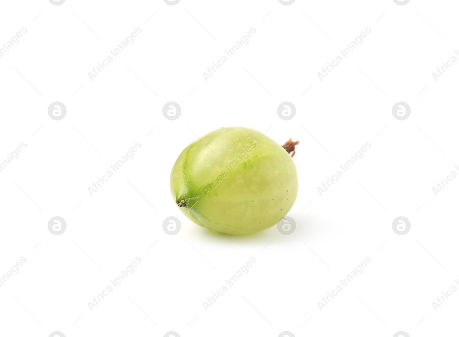 Fresh ripe green gooseberry isolated on white Photo of Fresh ripe green gooseberry isolated on white