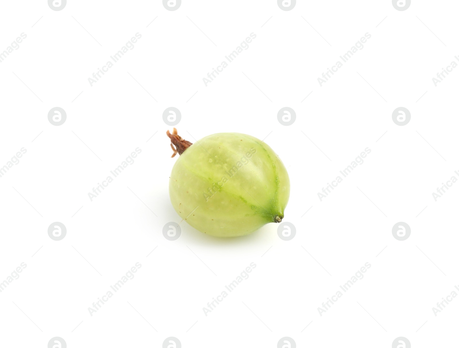 Fresh ripe green gooseberry isolated on white Photo of Fresh ripe green gooseberry isolated on white