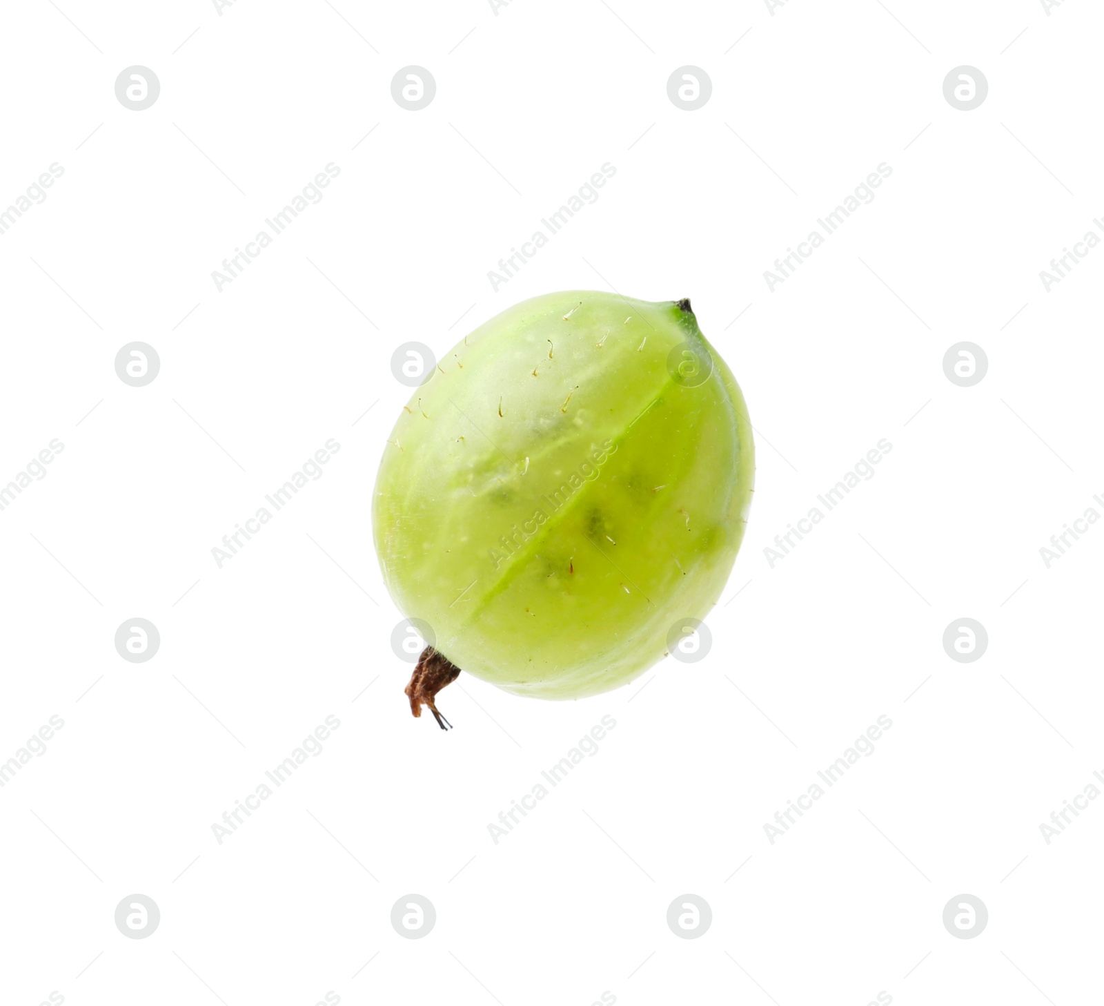 Fresh ripe green gooseberry isolated on white Photo of Fresh ripe green gooseberry isolated on white