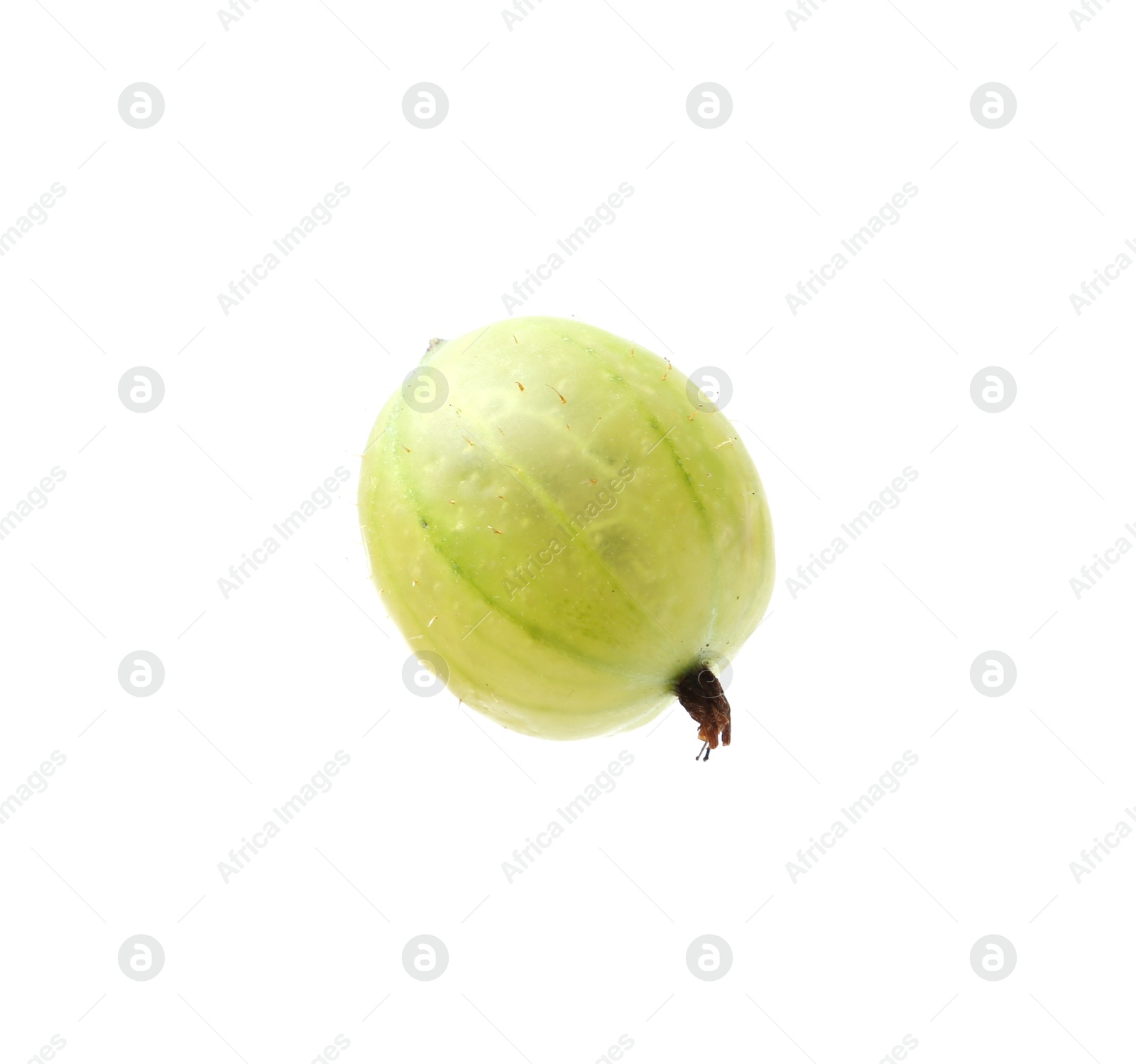 Fresh ripe green gooseberry isolated on white Photo of Fresh ripe green gooseberry isolated on white