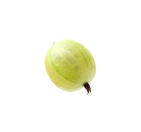 Photo of Fresh ripe green gooseberry isolated on white