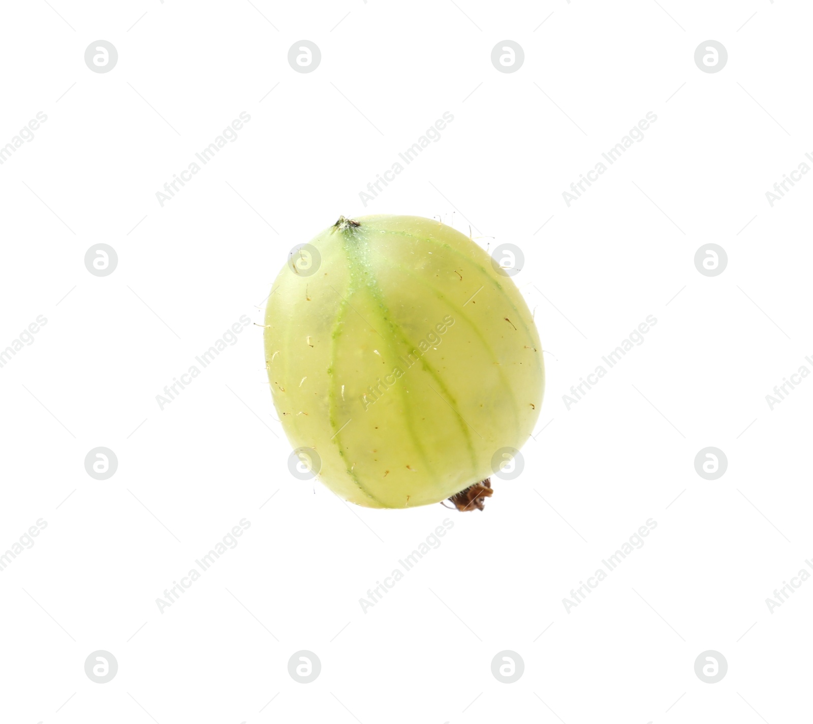 Fresh ripe green gooseberry isolated on white Photo of Fresh ripe green gooseberry isolated on white