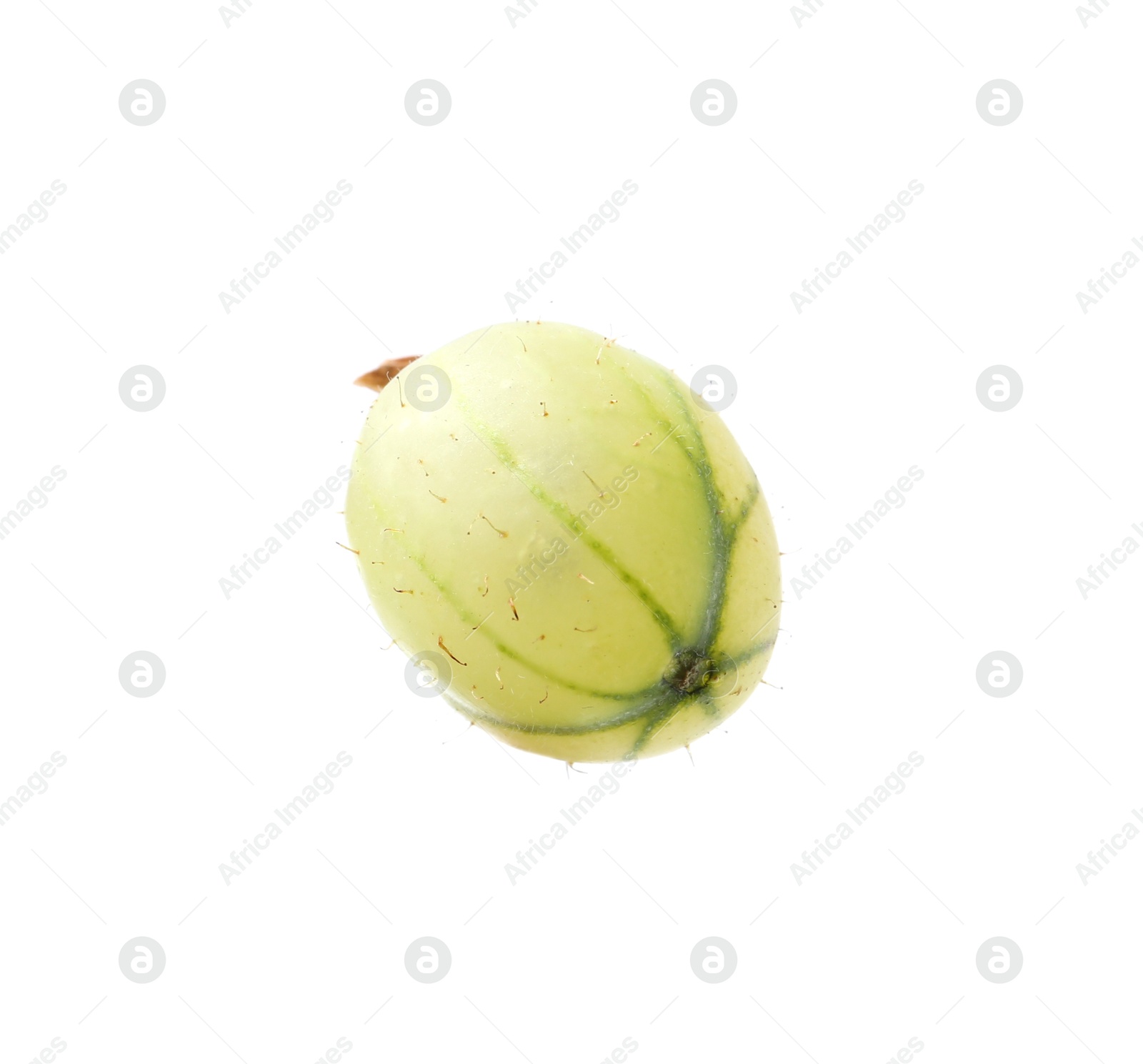 Fresh ripe green gooseberry isolated on white Photo of Fresh ripe green gooseberry isolated on white