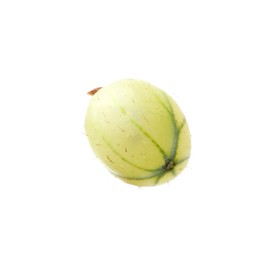 Photo of Fresh ripe green gooseberry isolated on white