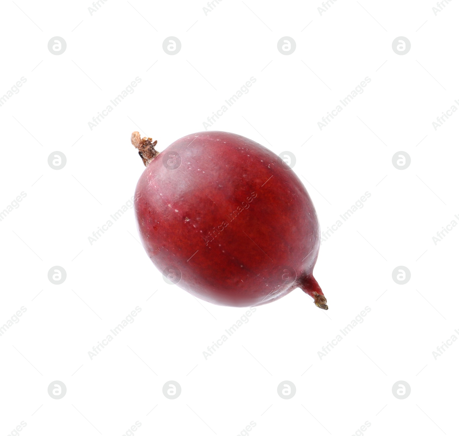 Photo of Fresh ripe red gooseberry isolated on white