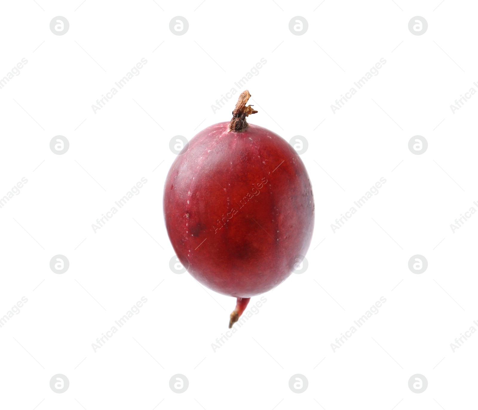 Fresh ripe red gooseberry isolated on white, top view Photo of Fresh ripe red gooseberry isolated on white, top view