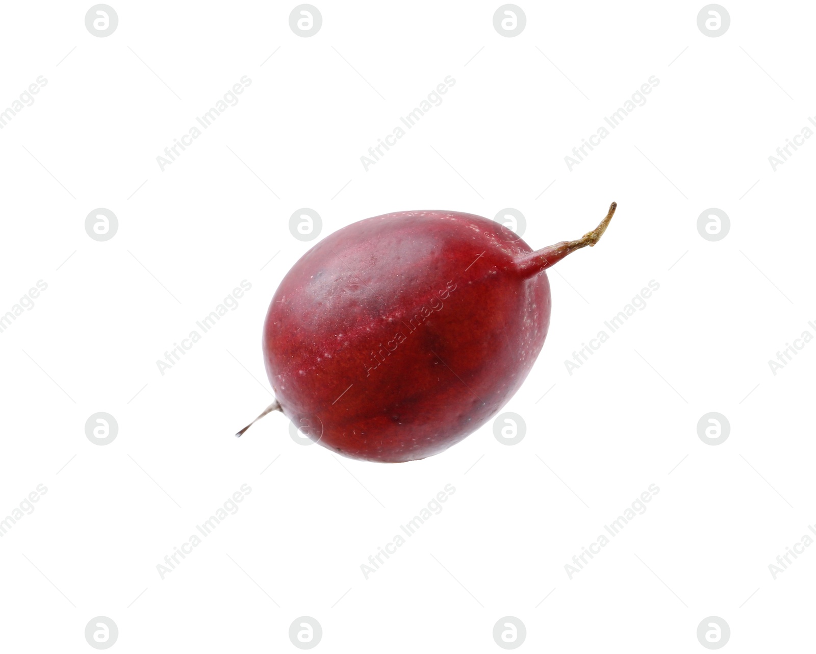 Photo of Fresh ripe red gooseberry isolated on white