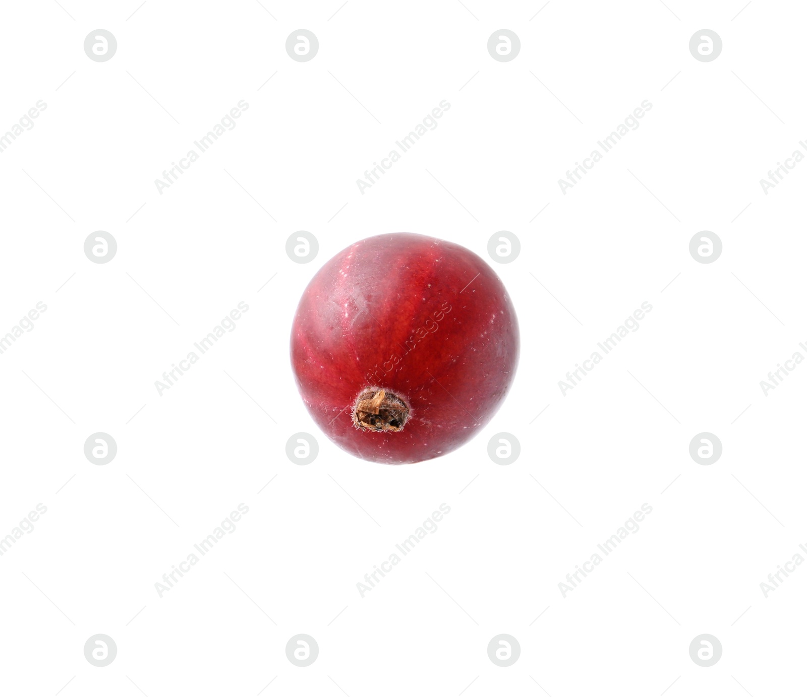 Fresh ripe red gooseberry isolated on white Photo of Fresh ripe red gooseberry isolated on white