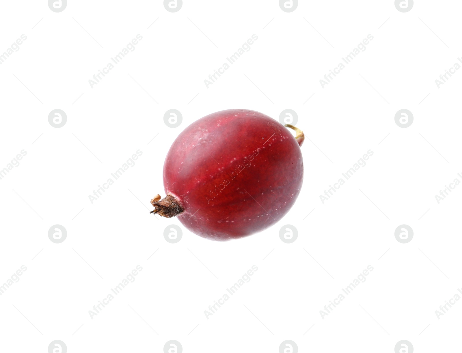 Photo of Fresh ripe red gooseberry isolated on white