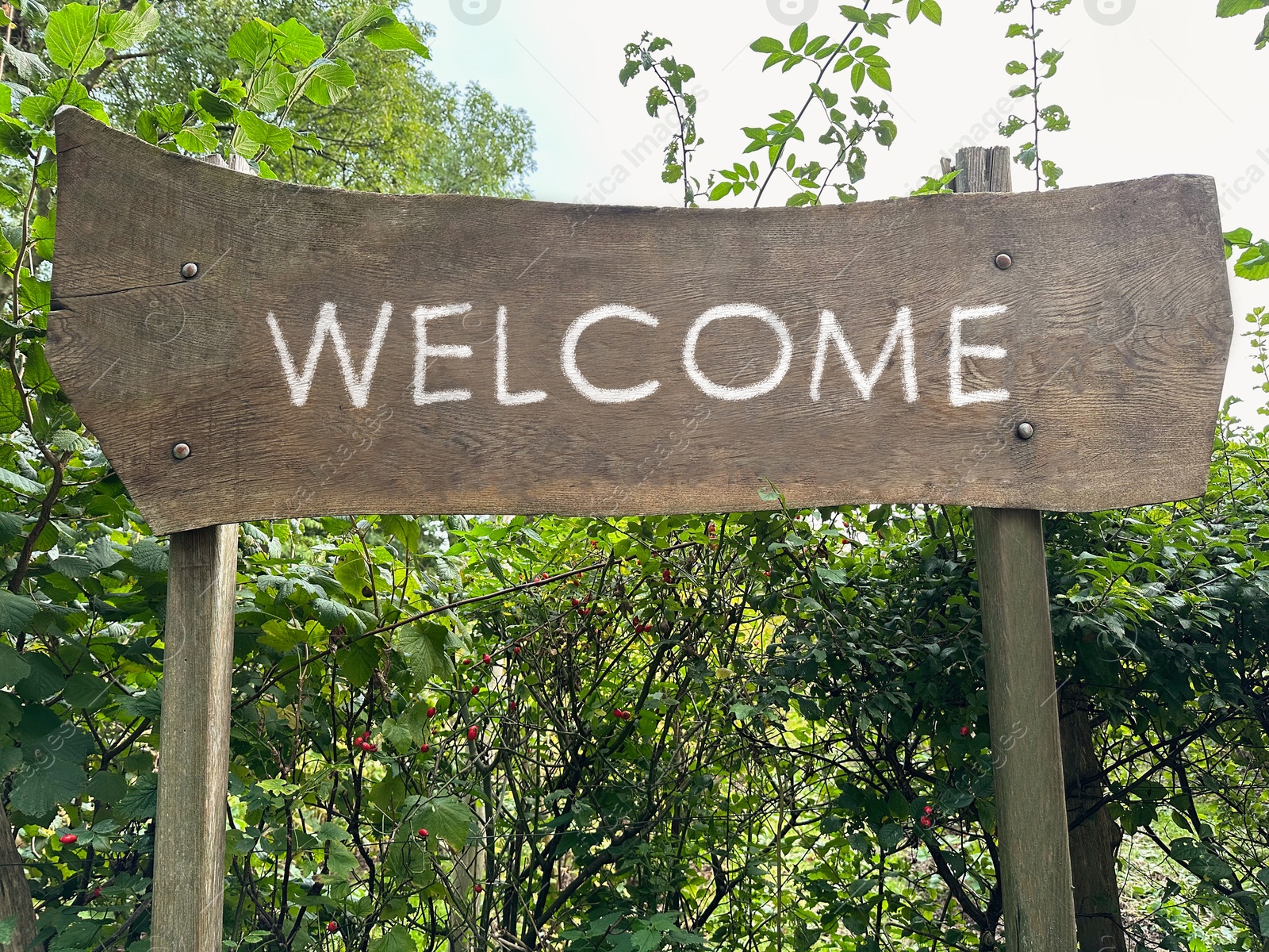 Image of Welcome wooden sign board and different plants outdoors