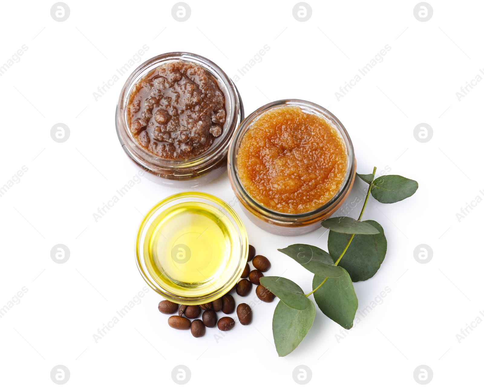 Natural body scrubs in glass jars, coffee beans, oil and eucalyptus branch isolated on white, top view Photo of Natural body scrubs in glass jars, coffee beans, oil and eucalyptus branch isolated on white, top view