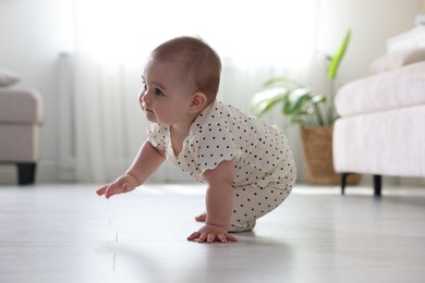 Photo of Cute little baby crawling on floor at home
