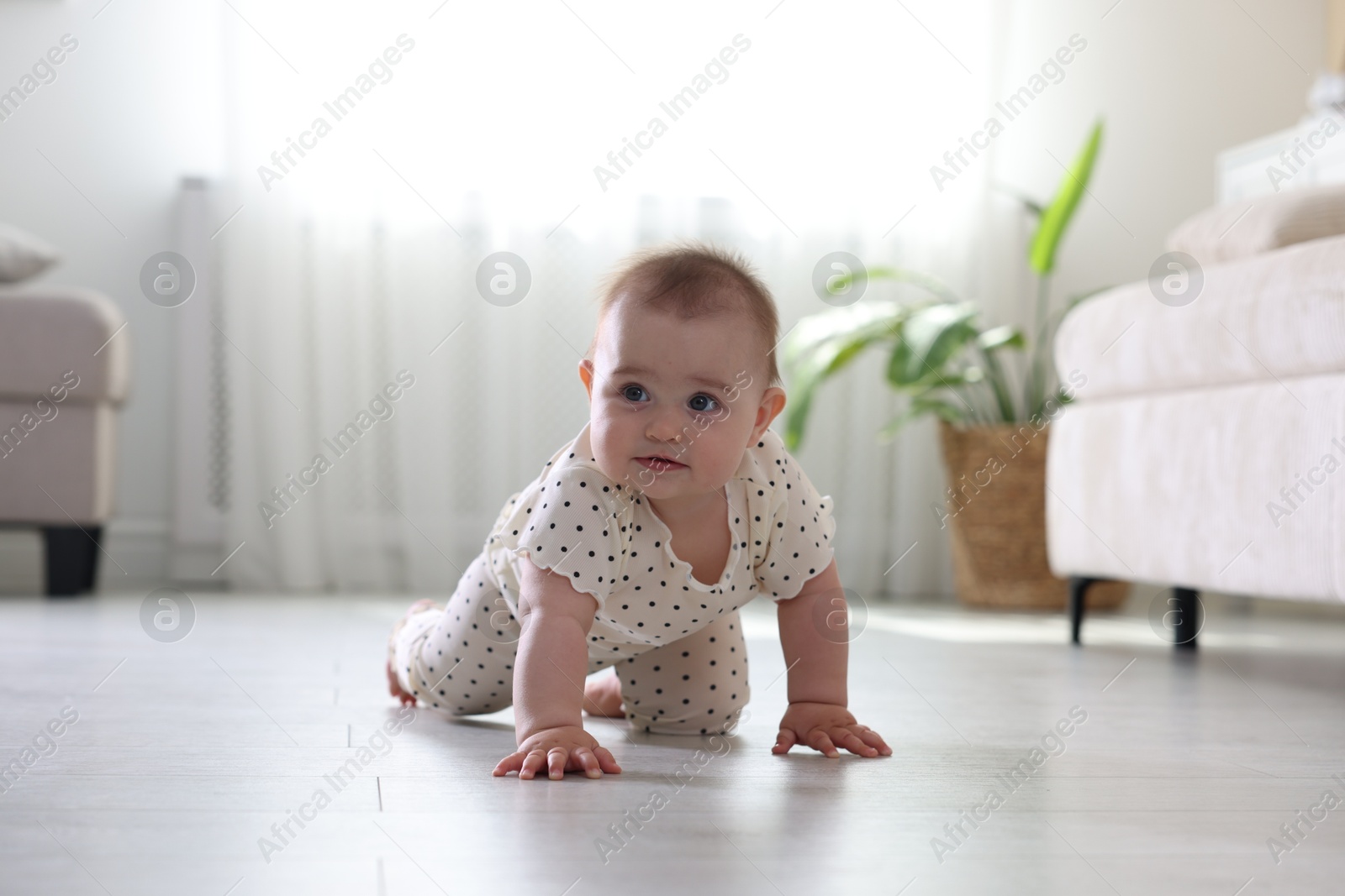 Cute little baby crawling on floor at home Photo of Cute little baby crawling on floor at home