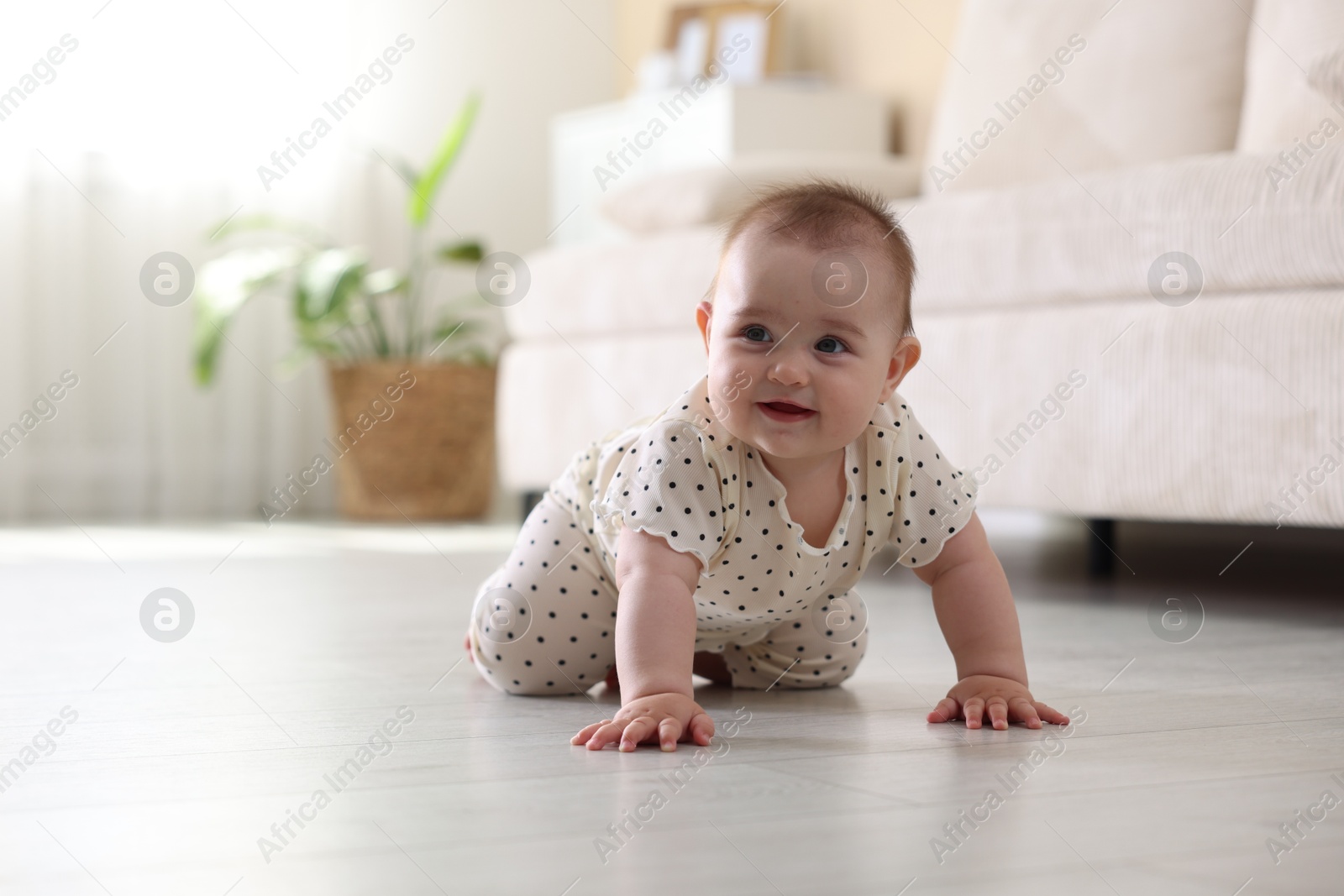 Cute little baby crawling on floor at home, space for text Photo of Cute little baby crawling on floor at home, space for text