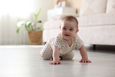 Photo of Cute little baby crawling on floor at home, space for text