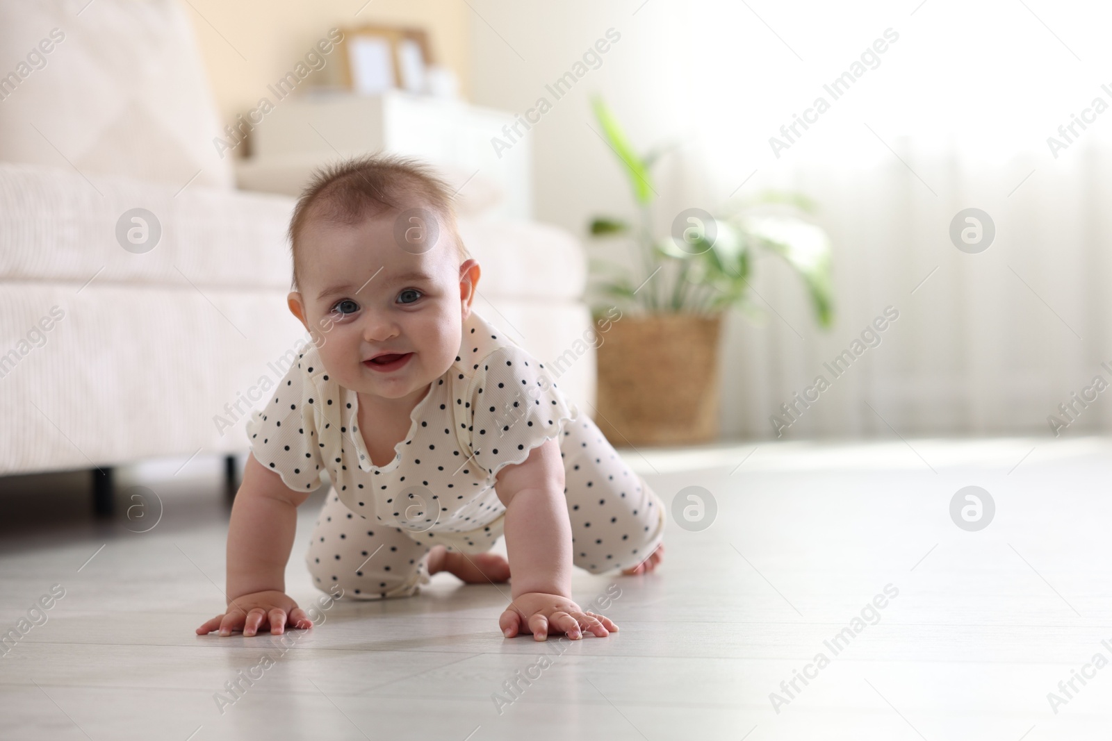 Cute little baby crawling on floor at home, space for text Photo of Cute little baby crawling on floor at home, space for text