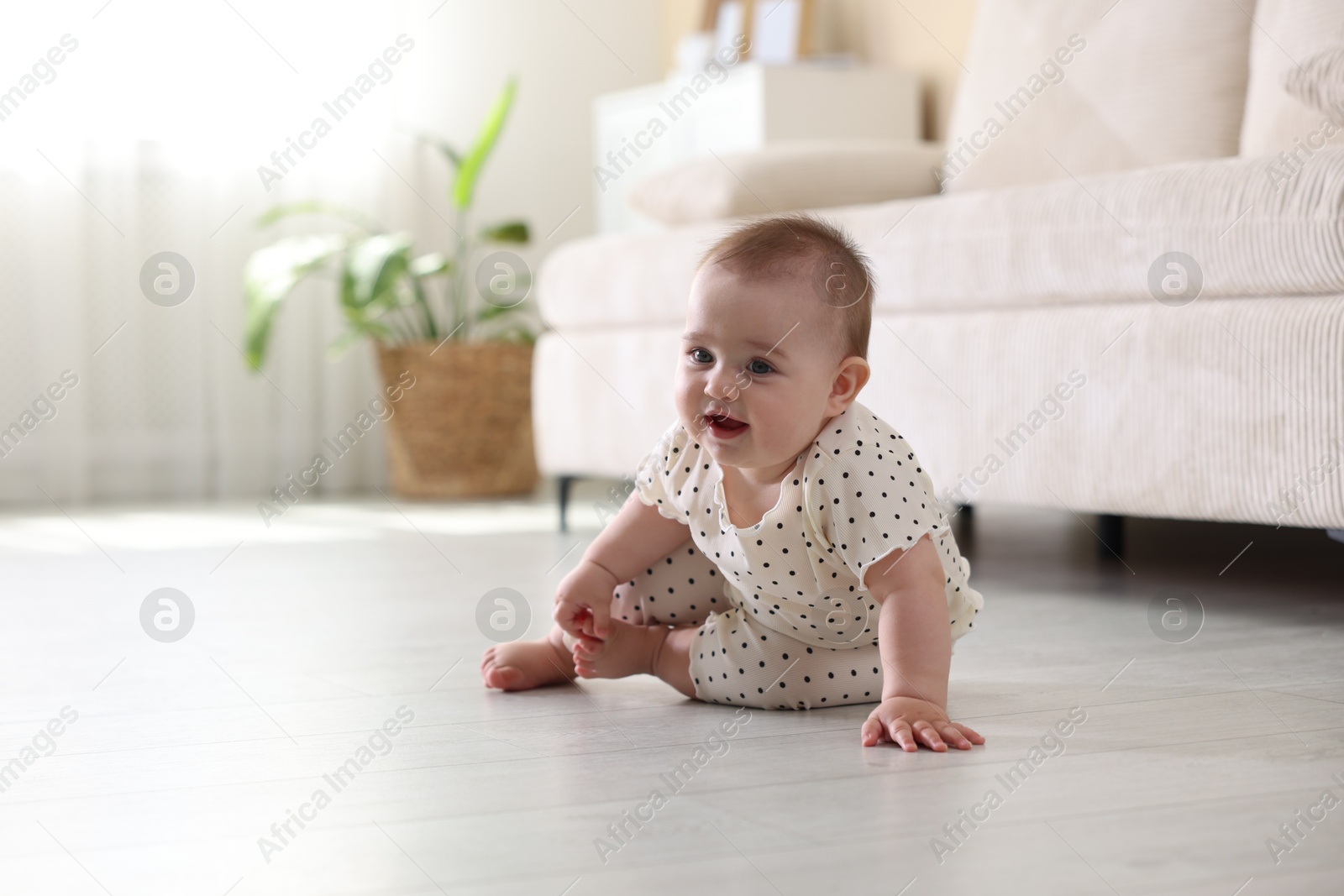 Cute little baby crawling on floor at home, space for text Photo of Cute little baby crawling on floor at home, space for text