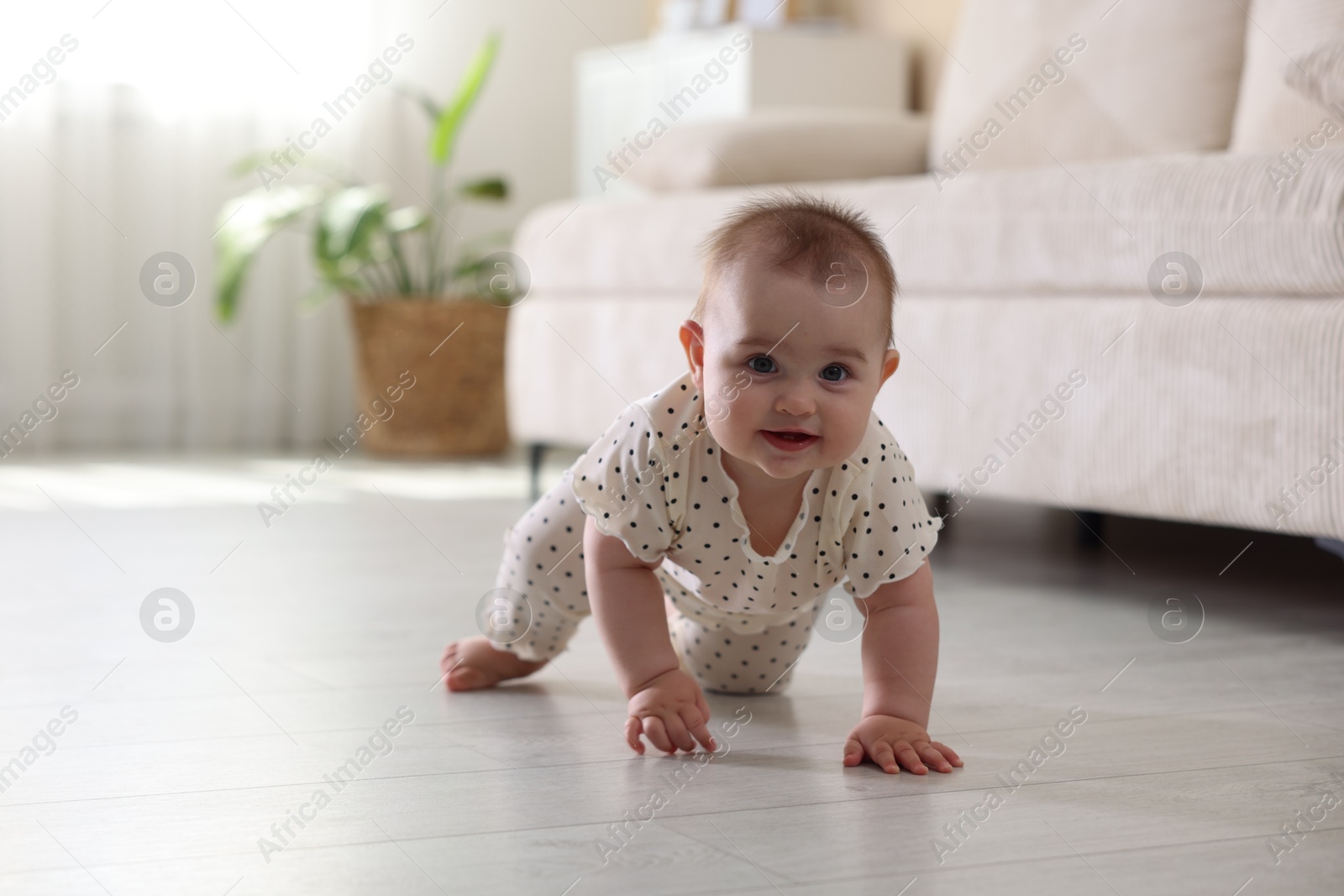 Cute little baby crawling on floor at home, space for text Photo of Cute little baby crawling on floor at home, space for text