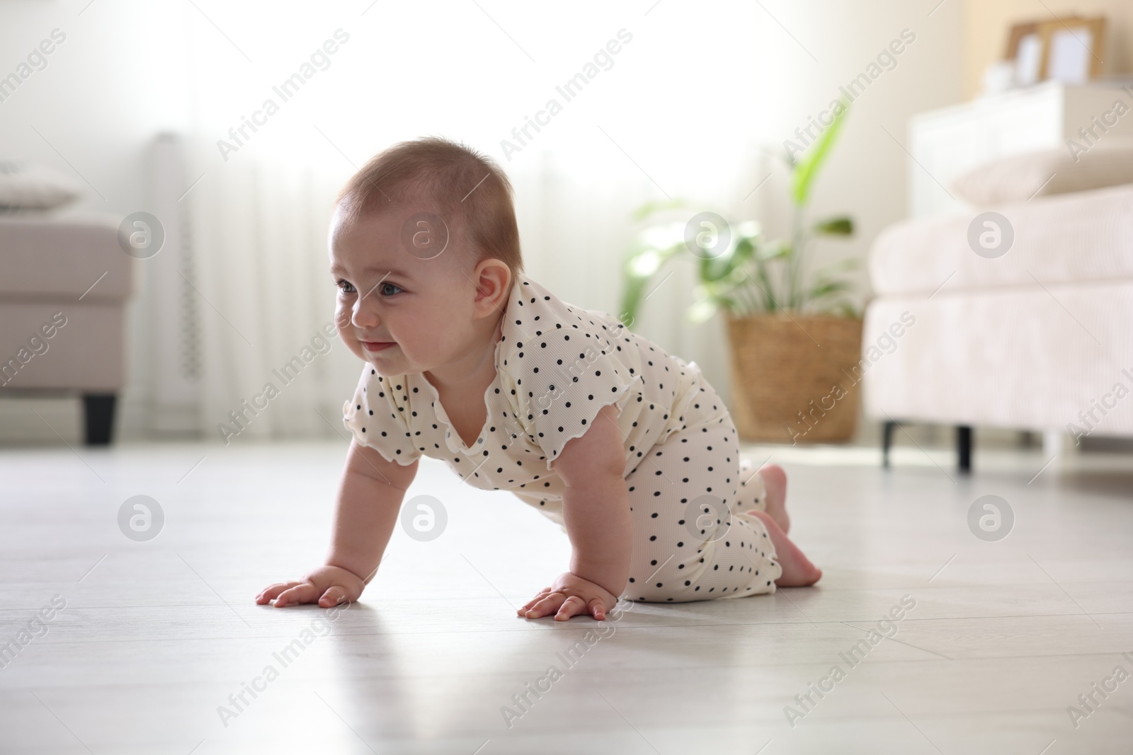 Cute little baby crawling on floor at home Photo of Cute little baby crawling on floor at home