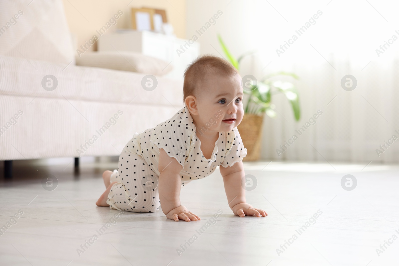 Cute little baby crawling on floor at home Photo of Cute little baby crawling on floor at home