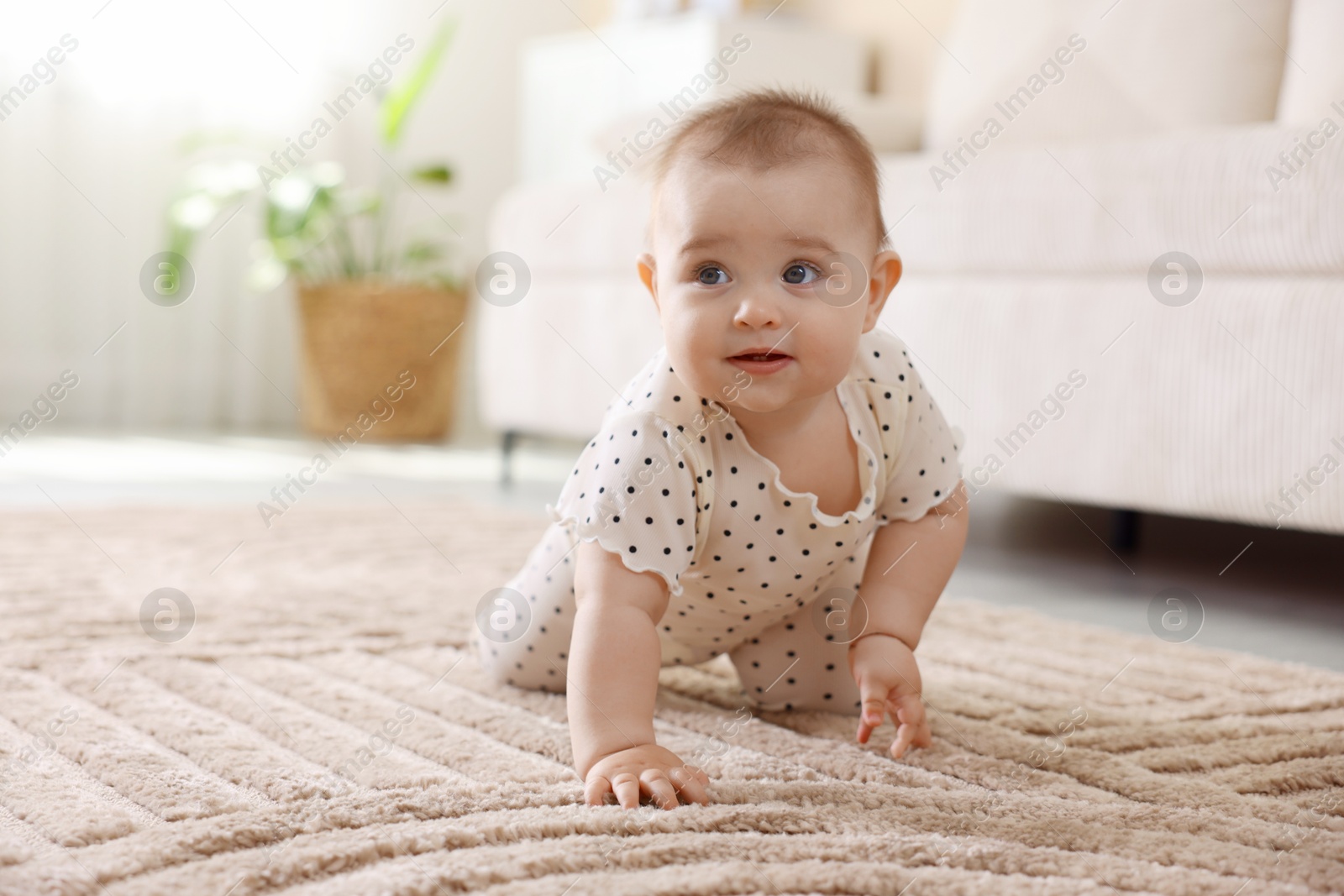 Cute little baby crawling on floor at home, space for text Photo of Cute little baby crawling on floor at home, space for text