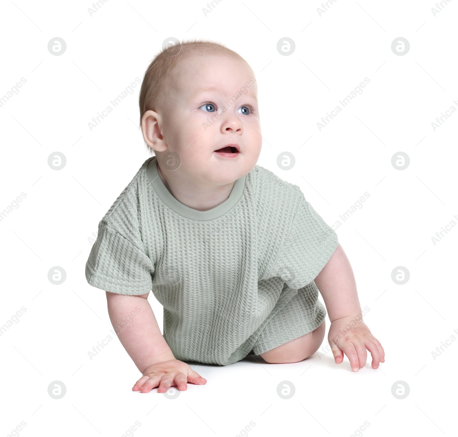 Cute little baby crawling on white background Photo of Cute little baby crawling on white background