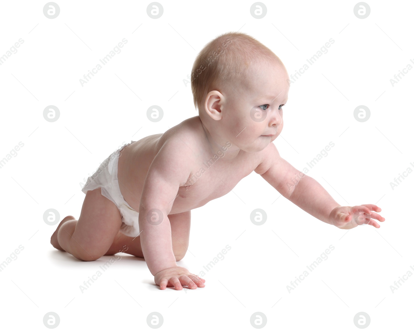 Cute little baby crawling on white background Photo of Cute little baby crawling on white background