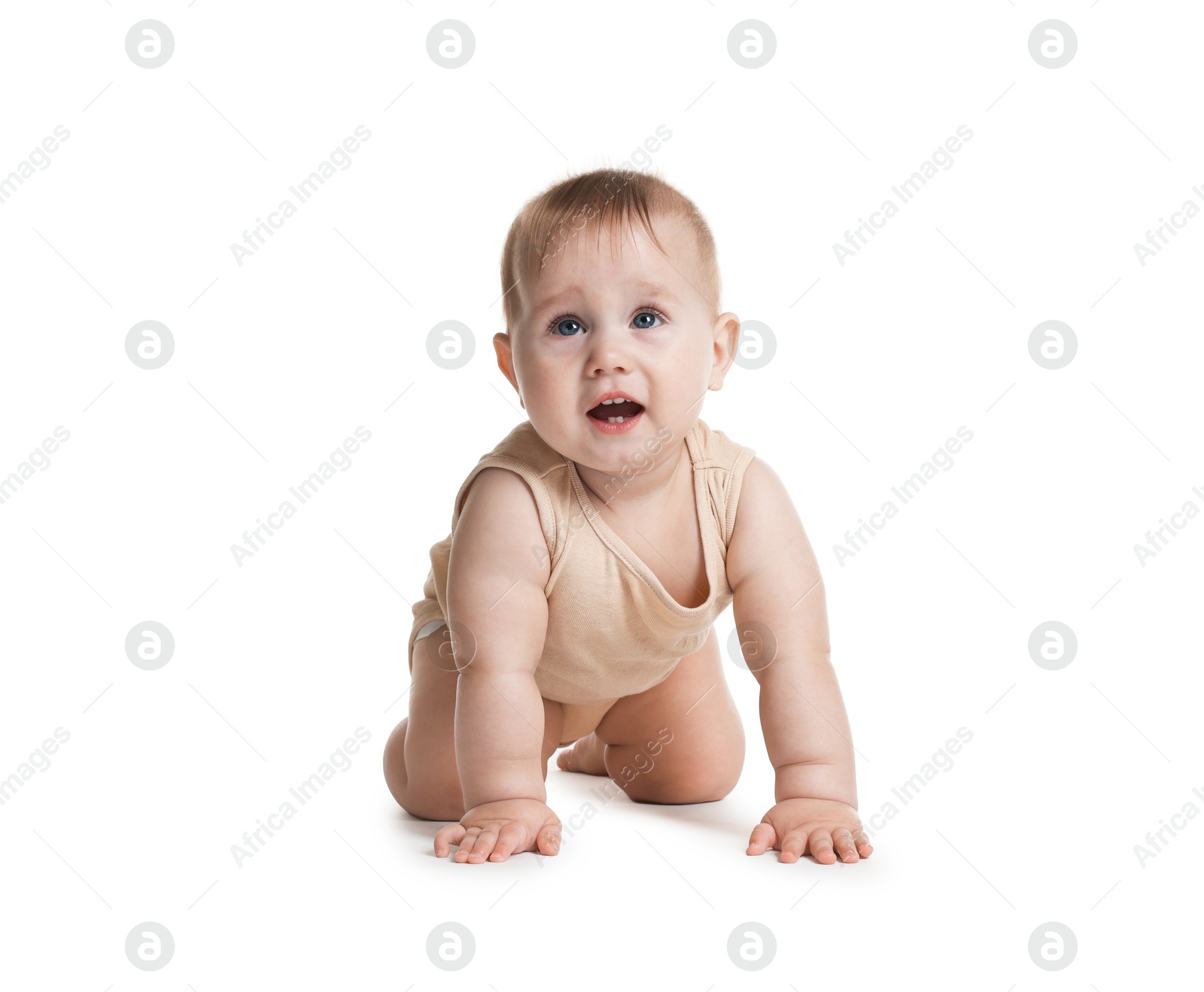 Cute little baby crawling on white background Photo of Cute little baby crawling on white background