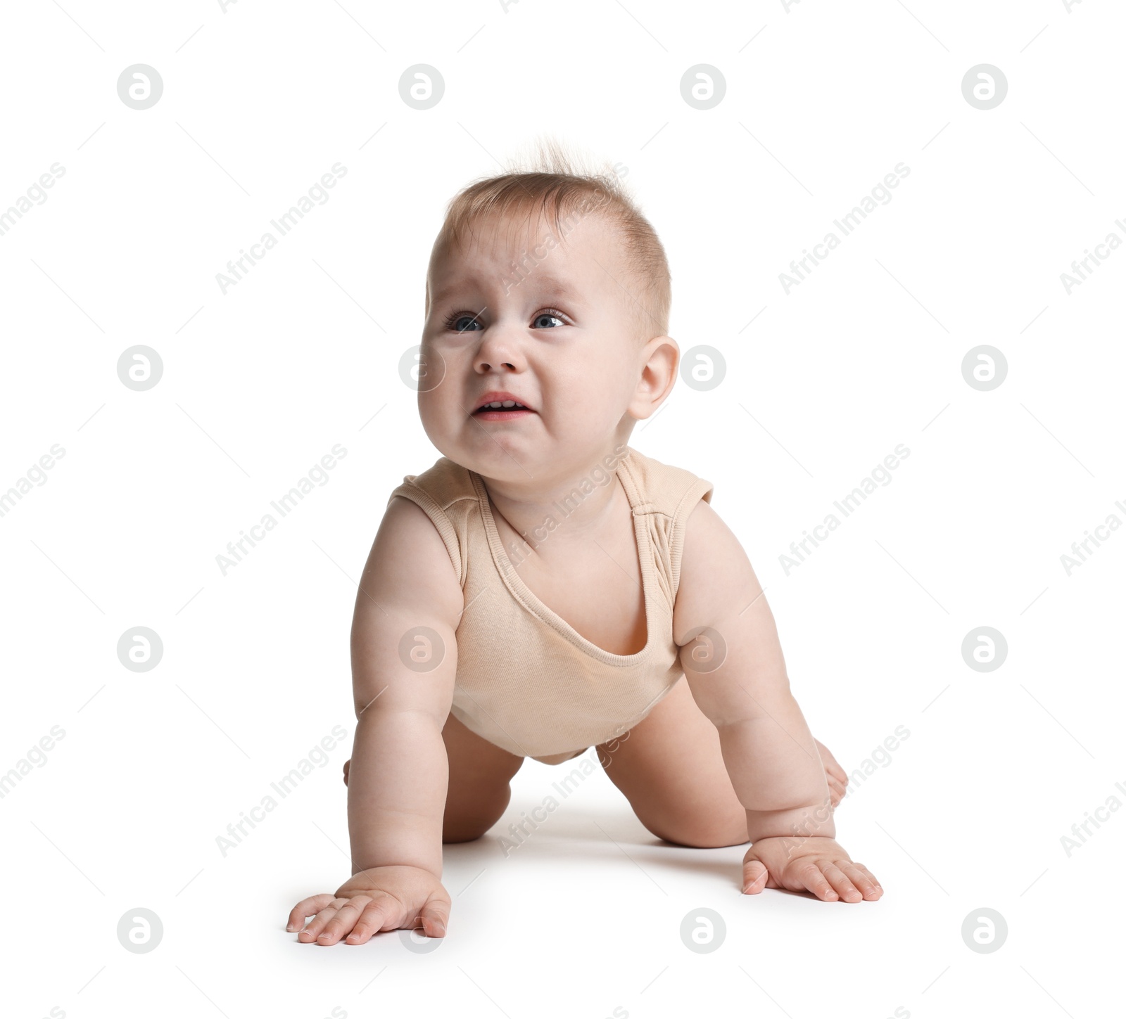 Cute little baby crawling on white background Photo of Cute little baby crawling on white background