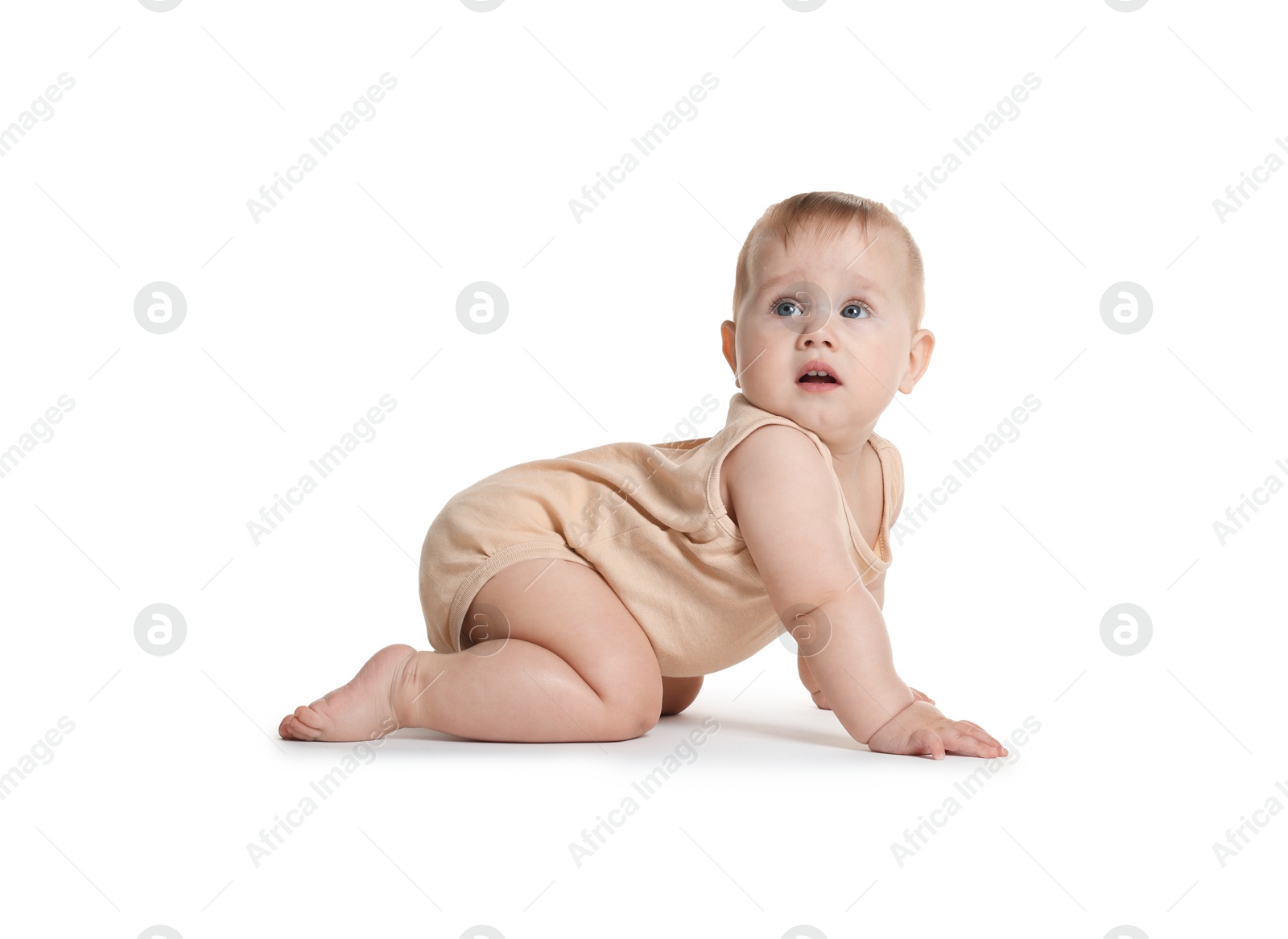 Cute little baby crawling on white background Photo of Cute little baby crawling on white background