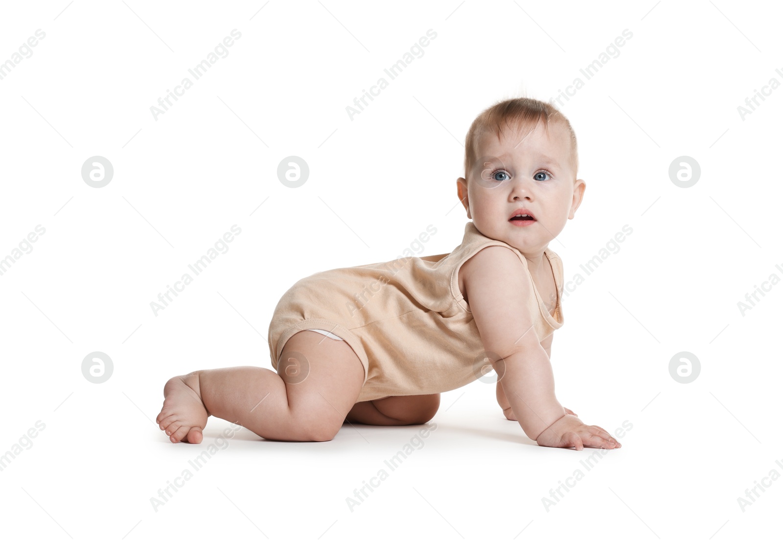 Cute little baby crawling on white background Photo of Cute little baby crawling on white background