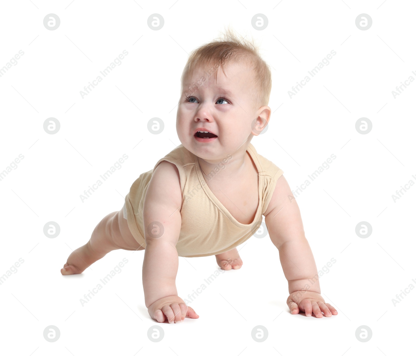 Cute little baby crawling on white background Photo of Cute little baby crawling on white background