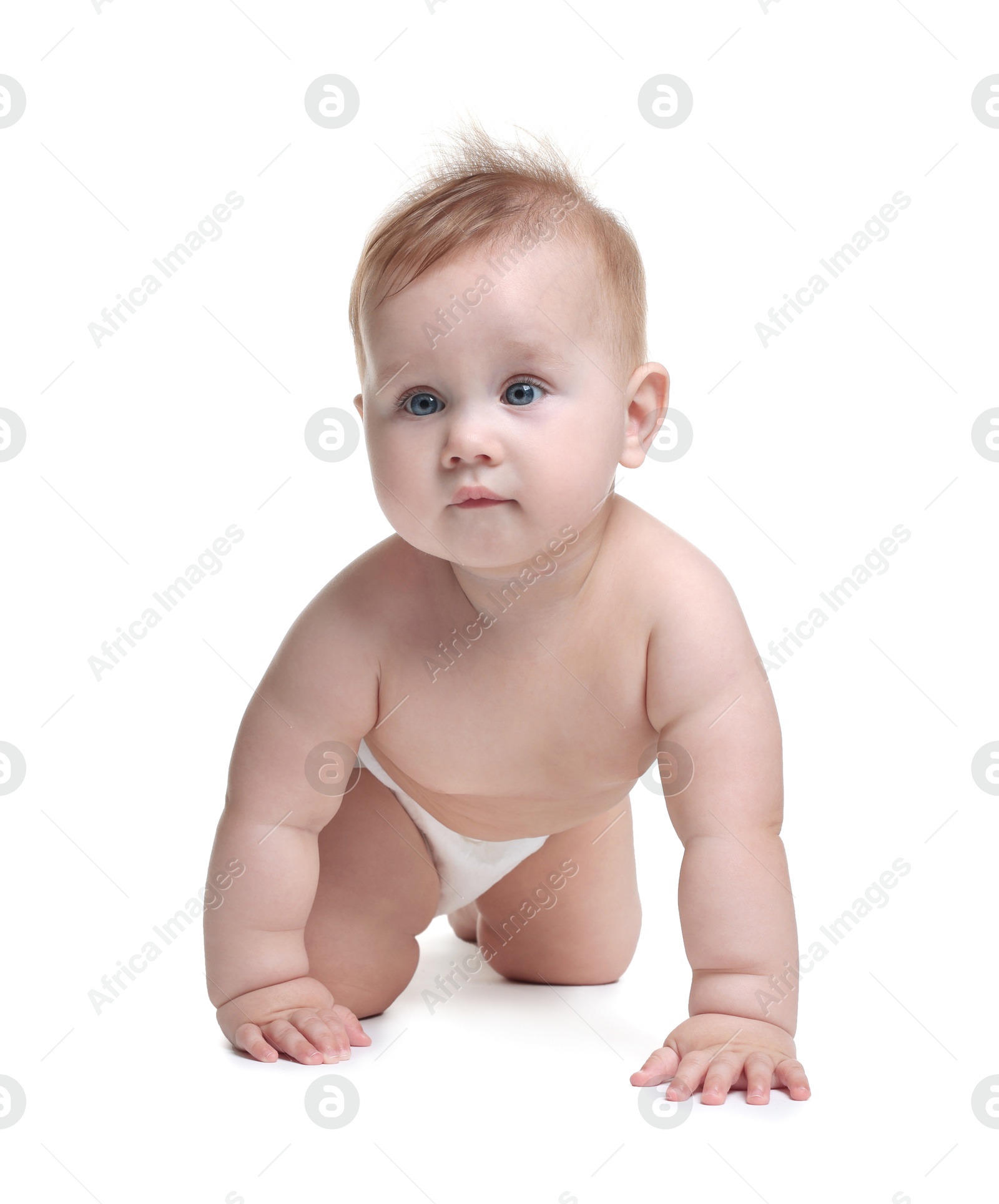 Cute little baby crawling on white background Photo of Cute little baby crawling on white background