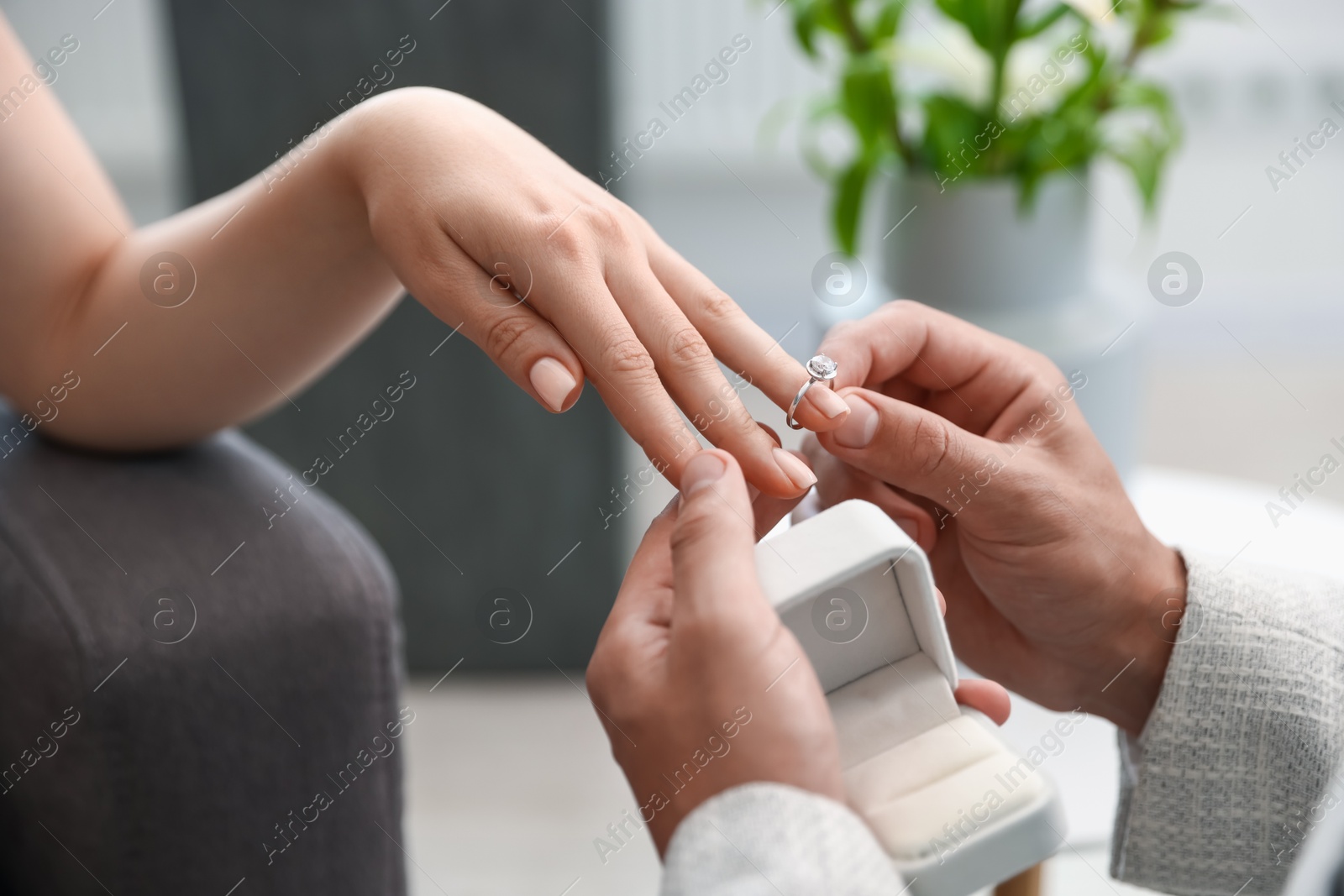 Making proposal. Man putting engagement ring on his girlfriend's finger indoors, closeup Photo of Making proposal. Man putting engagement ring on his girlfriend's finger indoors, closeup