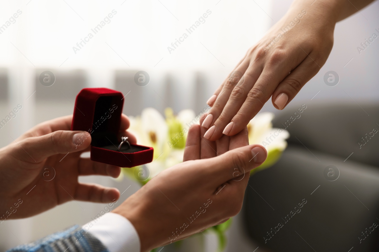Man with engagement ring making marriage proposal to his girlfriend indoors, closeup Photo of Man with engagement ring making marriage proposal to his girlfriend indoors, closeup
