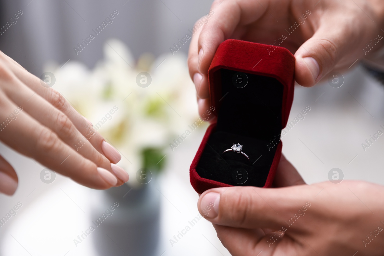 Man with engagement ring making marriage proposal to his girlfriend indoors, closeup Photo of Man with engagement ring making marriage proposal to his girlfriend indoors, closeup