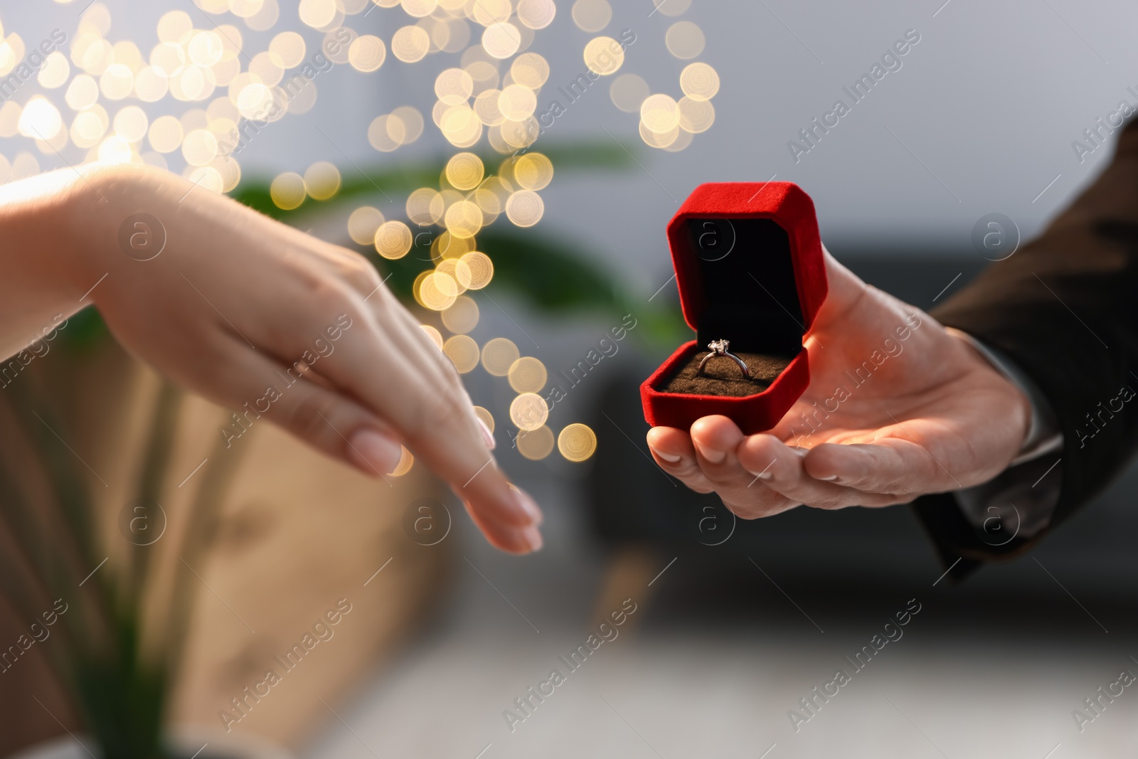 Man with engagement ring making marriage proposal to his girlfriend indoors, closeup. Bokeh effect Photo of Man with engagement ring making marriage proposal to his girlfriend indoors, closeup. Bokeh effect