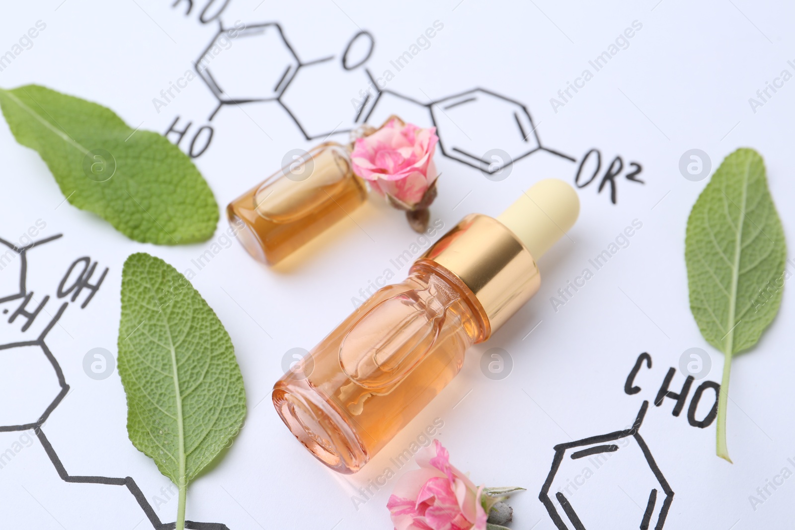 Photo of Bottles of cosmetic products, herbs and roses on paper with chemical formulas, closeup