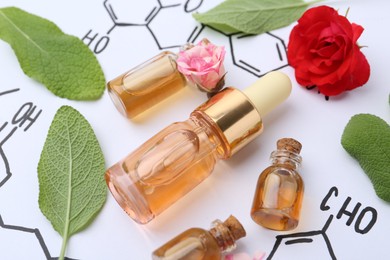 Photo of Bottles of cosmetic products, herbs and roses on paper with chemical formulas, closeup