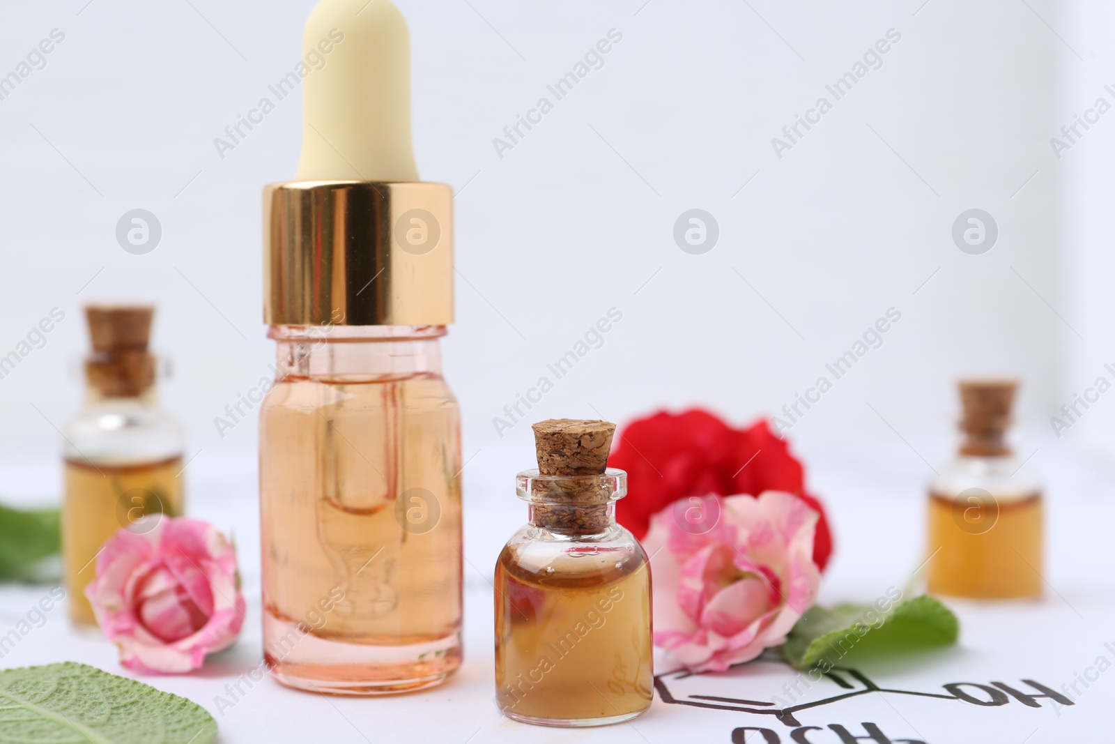 Photo of Bottles of cosmetic products, herbs and roses on paper with chemical formulas, closeup