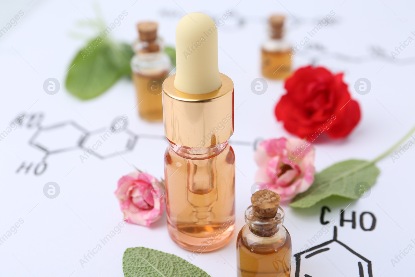 Photo of Bottles of cosmetic products, herbs and roses on paper with chemical formulas, closeup